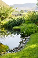 A pair of zig-zag 'perching sticks' are set into the pebble beach that edges one side of the pond between a mound of moss and a large clump of irises.