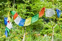 Prayer flags threaded through bamboo beside the wooden chalet style house. Hunting Brook Garden, Co Wicklow, Ireland