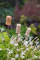 Wine corks used as cane toppers