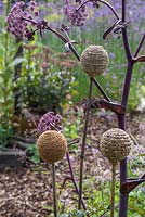Old tennis balls wrapped in string used as cane toppers