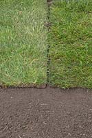 New turf which has been laid incorrectly with too much of a gap