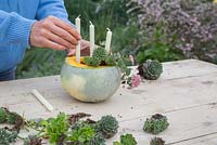 Planting Succulents and candles into the hollowed out Pumpkin
