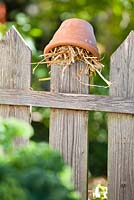Pot filled with straw to attract insects.