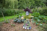 A scarecrow made from galvanised buckets, compact discs, wood and string. Plants included are Variegated Helichrysum, Iresine, Sanvitalia procumbens 'Sunvy Trailing' and Panicum virgatum 'Warrior'