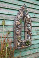 A Seaside themed wire frame hanging on a shed. Planted with Succulents, shells, drift wood, stones and nautical items