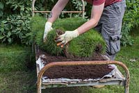 Lay the turf on top of the compost, tucking under the edges to give the impression of a neat duvet