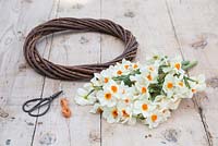Plain wreath, scissors, string and Narcissi 'Geranium'