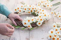 Securing Narcissi 'Geranium' to wreath using string