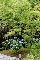 Hampton Court Flower Show 2016. 'A Japanese Summer Garden designed by Saori Imoto