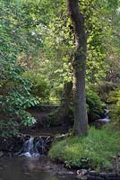 Waterfall and stream in woodland glade - June, Clyne Gardens, Swansea, Wales