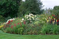 The Red Border planted with Hydrangea Limelight', Dahlia 'Apache', Kniphofia 'Green Jade',  Penstemon 'King George', Echinacea 'Green Envy', Dahlia 'Shooting Star', Salvia 'Royal Bumble', Nicotiana 'Lime Green', Kniphofia 'Percy's Pride' and Dahlia 'Bishop of Llandaff'.