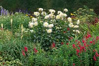 The Red Border planted with Dahlia 'Shooting Star', Kniphofia 'Green Jade', Penstemon 'King George',  Salvia 'Royal Bumble' and Nicotiana 'Lime Green'.
