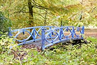 Footbridge in autumn forest