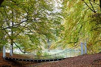 Footbridge in autumn forest