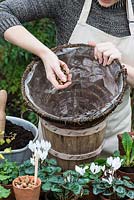 Planting a hanging basket for winter and early spring. Add a layer of gravel to help drainage.
