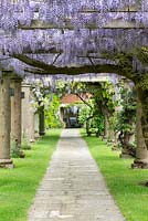 A pergola covered with wisteria above a stone path.