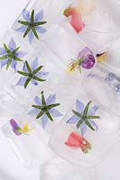 Edible flowers in icecubes. Borage and pansies