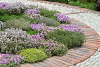 A Modern Apothecary. A circular brick and cobble path encloses a bed planted with different varieties of thyme. Designer: Jekka McVicar. RHS Chelsea Flower Show 2016