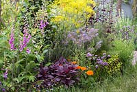 A Modern Apothecary. A herb bed planted with foxgloves, angelica, marigolds, chives, amaranthus and borage. Designer: Jekka McVicar. RHS Chelsea Flower Show 2016