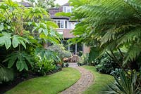 A tropical city garden planted with rice paper plant, Tetrapanax papyrifer, tree ferns,  Dicksonia antarctica and a curved brick path 