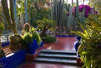 Jardin Majorelle. Created by Jacques Majorelle and further developed by Yves Saint Laurent and Pierre BergÃ©, Marrakech, Morocco

