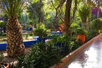 Jardin Majorelle. Created by Jacques Majorelle and further developed by Yves Saint Laurent and Pierre Bergé, Marrakech, Morocco