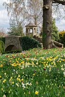 A colourful spring meadow of tulip and daffodil bulbs including: Tulipa 'Golden Apeldoorn', 'Blushing Apeldoorn', Apeldoorn Elite', 'Apeldoorn Pink Impression', 'Purissima' and 'El Nino'. 