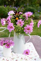 Cosmos bipinnatus 'Double Click' and dahlias flower arrangement in jug and pot