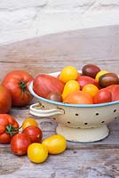 Mixed varieties of tomatoes in enamel colander