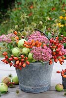 Sedum 'Autumn Joy', wild rosehips, clematis seedheads and crab apples arranged in metal bucket