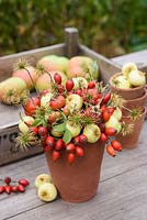 Crab apples, rosehips and clematis seedheads floral arrangement in terracotta pot