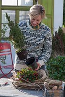 Woman making wreath with clematis and conifers - adding plants. Gaultheria procumbens and Picea glauca 'Conica'.