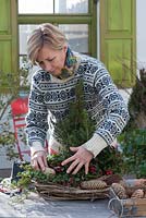Woman making wreath with clematis and conifers - adding plants. Gaultheria procumbens and Picea glauca 'Conica'.