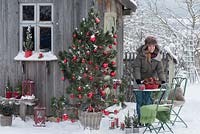 Woman in garden with Pinus as a living Christmas tree with cones and red baubles in the snow.

