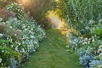 White themed border in late summer: Nicotiana sylvestris, Pennisetum villosum, Miscanthus sinensis, Cleome spinosa 'Helen Campbell', Zinnia 'Profusion White', Ammi majus. Weihenstephan Gardens