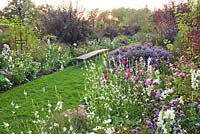 Late summer borders iwith garden bench ncludes Verbena bonariensis, Sedum, Dahlia, Cosmea, Gaura lindheimeri, Sedum 'matrona', Cotinus coggygria 'Royal Purple', Aster novea-angliae. Weihenstephan Trial Garden