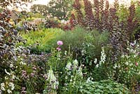 Late summer borders includes Verbena bonariensis, Sedum, Dahlia, Cosmea, Cotinus coggygria 'Royal Purple', Gaura lindheimeri, Sedum 'matrona', Aster novea-angliae. Weihenstephan Trial Garden