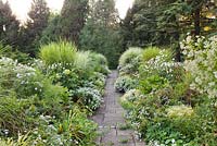 White themed border with Kalimeris incisa 'Madiva', Hydrangea paniculata, Miscanthus sinensis and Hakonechloa macra 'Aureola', Weihenstephan Gardens