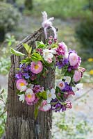 Spring wreath with Malus, Bellis, Leucojum, Aubrieta and Bergenia 