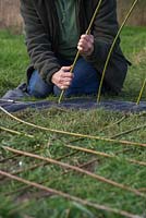 Stake the Willow sticks through the weed control fabric