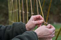 Bend the Willow branches over each other and tie the branches together with string