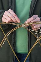 Bend the Willow branches over each other and tie the branches together with string