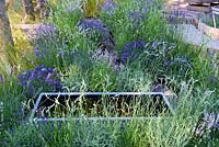 The Lavender Garden. Water trough amongst mixed lavender. Designers: Paula Napper, Sara Warren and Donna King. Sponsors: Shropshire Lavender. RHS Hampton Court Palace Flower Show 2016