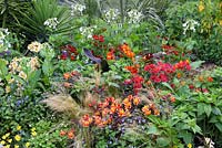 Latin America's Inca Garden. Alstromeria's in Sub tropical border. Designer: Jennifer Jones Sponsors: Journey Latin America. RHS Hampton Court Palace Flower Show 2016
