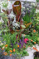 New Horizons City Garden. Colourful summer planting in raised bed orange, red and blues. Border with canna, geum, salvia and aeonium Designers: Beautiful Borders. Sponsors: Beautiful borders Garden Design. RHS Hampton Court Palace Flower Show 2016
