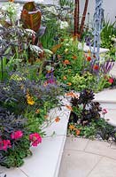 New Horizons City Garden. Colourful summer planting in raised bed orange, red and blues. Border with canna, geum, salvia and aeonium Designers: Beautiful Borders. Sponsors: Beautiful borders Garden Design. RHS Hampton Court Palace Flower Show 2016

