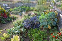 Vegetable garden with Mangold 'Brightlights'  lemon balm , bean cabbage, rosary, garden cabbage, celery tropaeolum , 