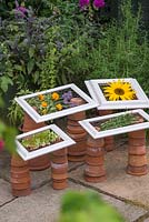 Upcycled picture frames used to dry herbs and flowers. Rosemary, Mint, Calendula, Lavender and Sunflower