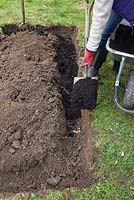 Once excavated to 12 inches deep, fill the interior edges with compost