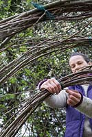 Secure the Scarlet Willow branches together with twine